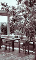A serene outdoor patio area with wooden furniture, including tables and chairs, partially shaded by a large leafy tree. Cushions are placed on a built-in concrete bench against a backdrop of lush greenery, creating a comfortable and inviting atmosphere.