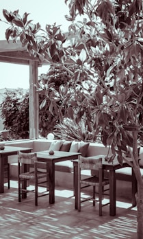 A serene outdoor patio area with wooden furniture, including tables and chairs, partially shaded by a large leafy tree. Cushions are placed on a built-in concrete bench against a backdrop of lush greenery, creating a comfortable and inviting atmosphere.