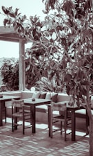 A serene outdoor patio area with wooden furniture, including tables and chairs, partially shaded by a large leafy tree. Cushions are placed on a built-in concrete bench against a backdrop of lush greenery, creating a comfortable and inviting atmosphere.