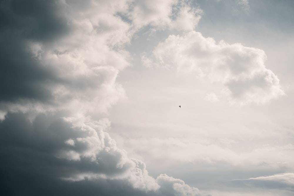 a bird flying through a cloudy sky on a cloudy day