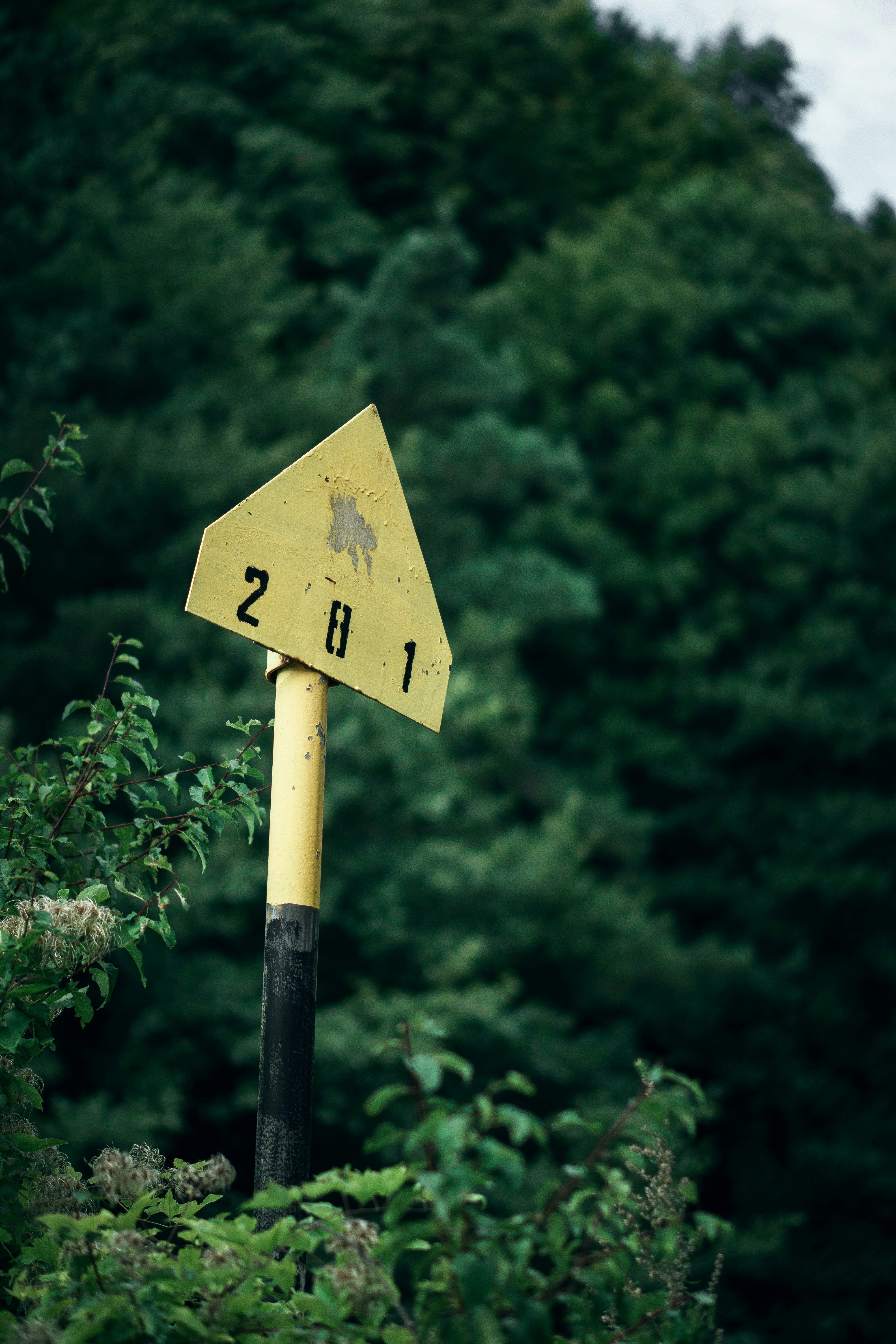 7 Beginner-Friendly Tricks for Custom Outdoor Sign Success