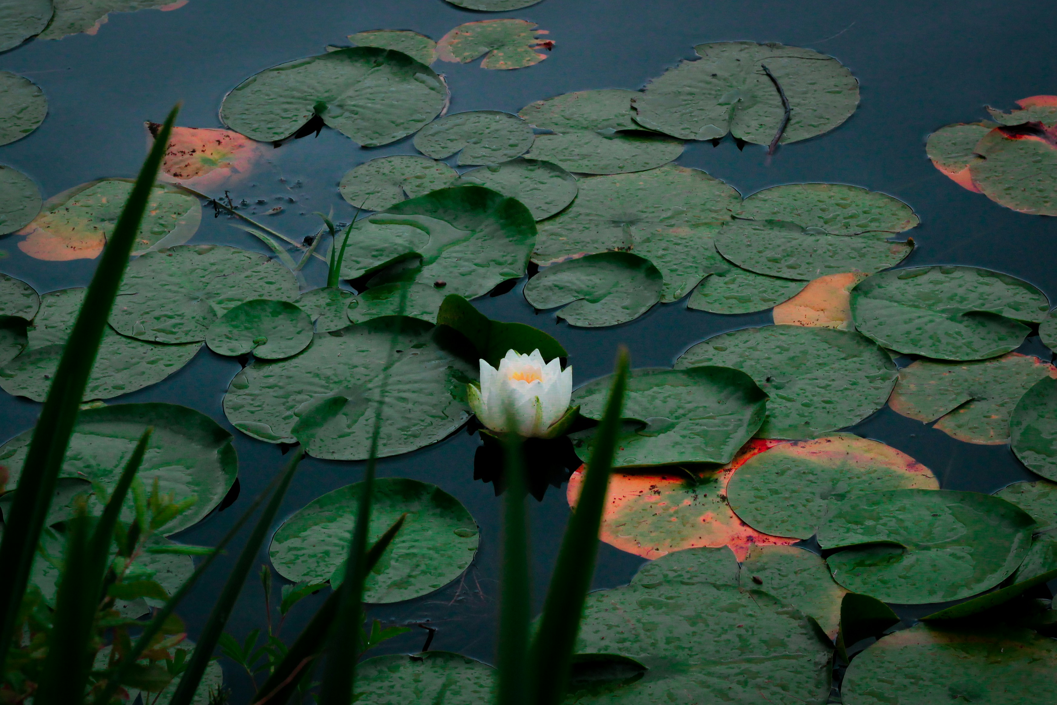 Photo by keving101532