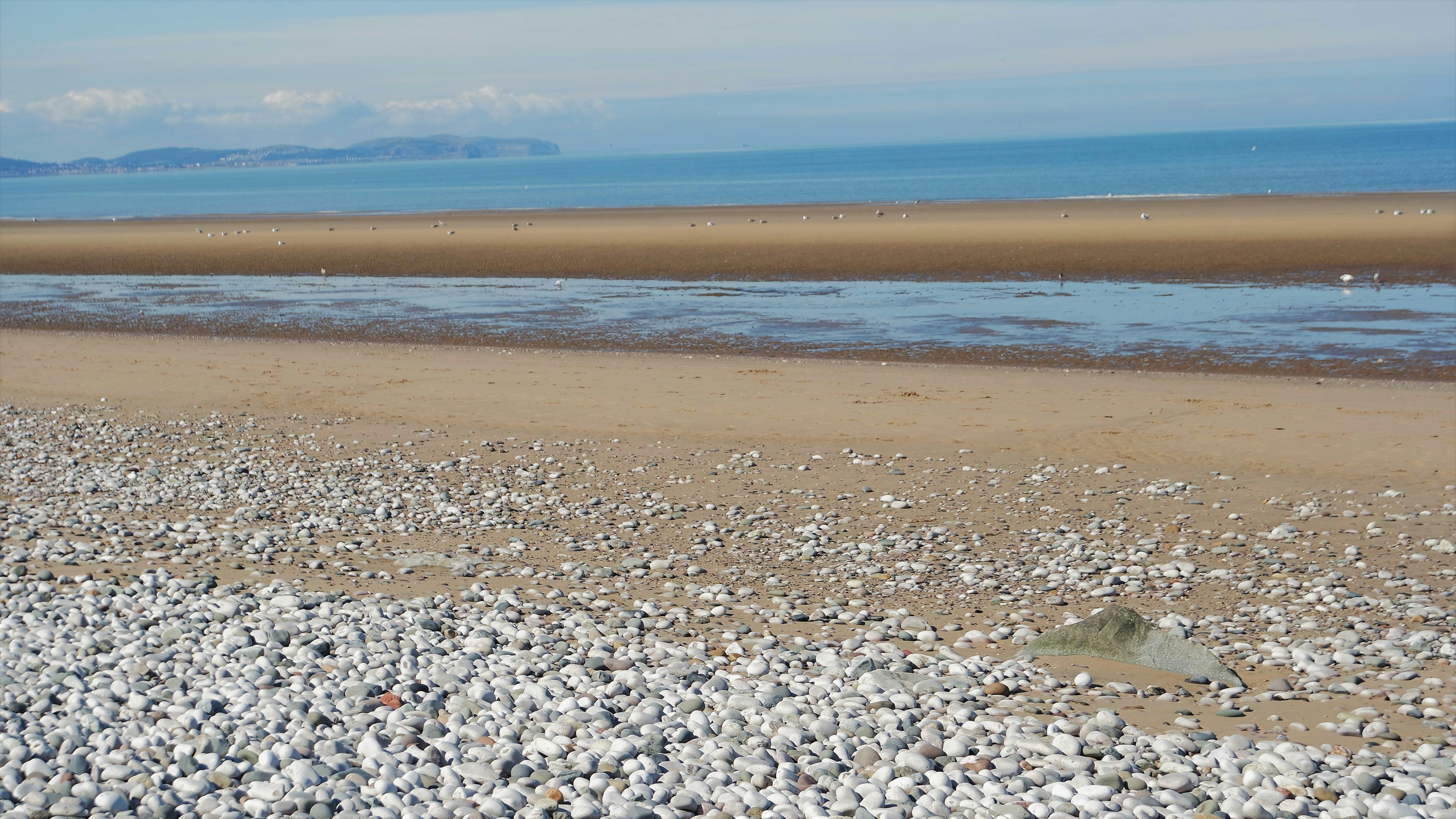 a rocky beach with a body of water in the distance