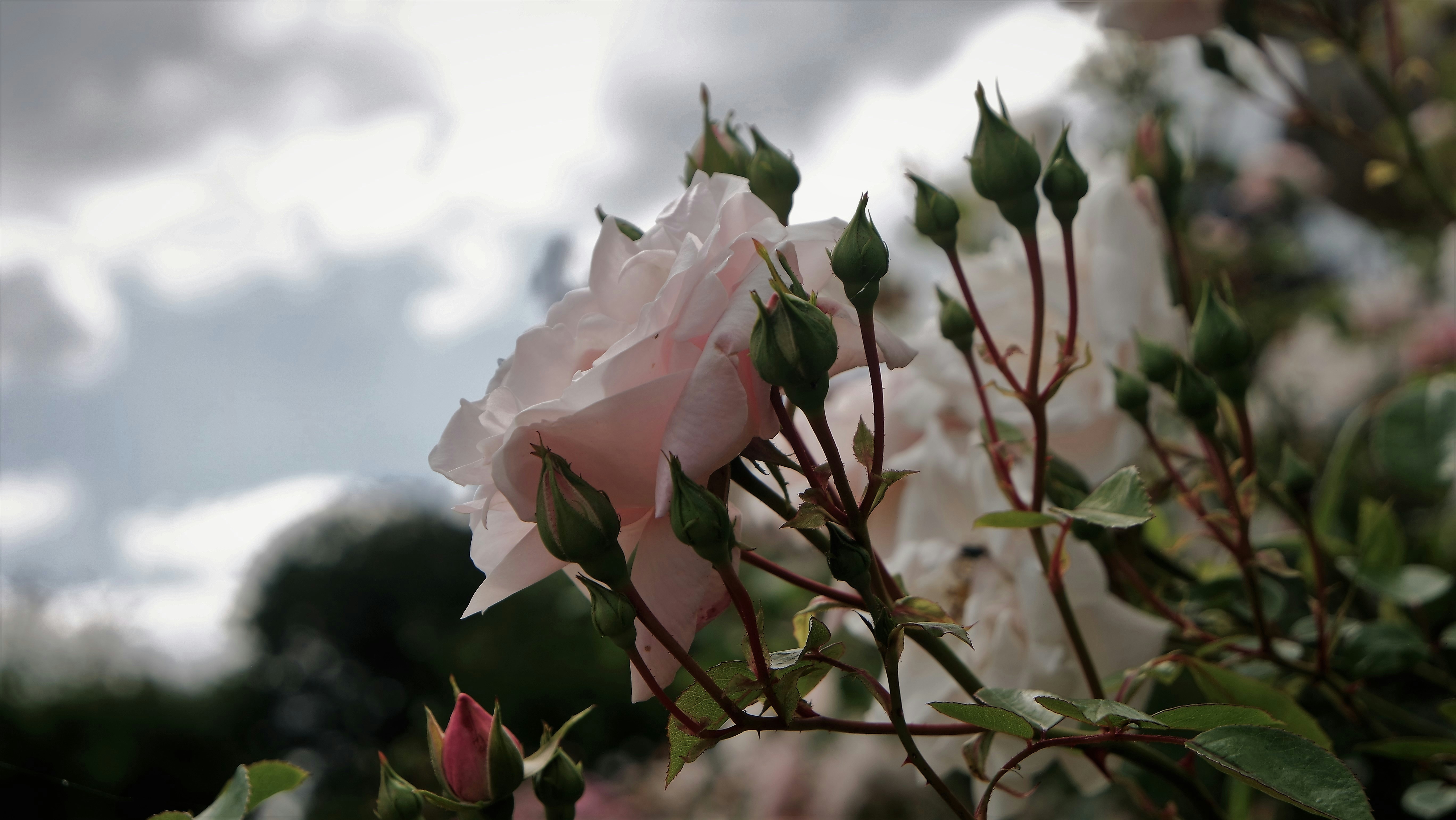 Photo by amyw585