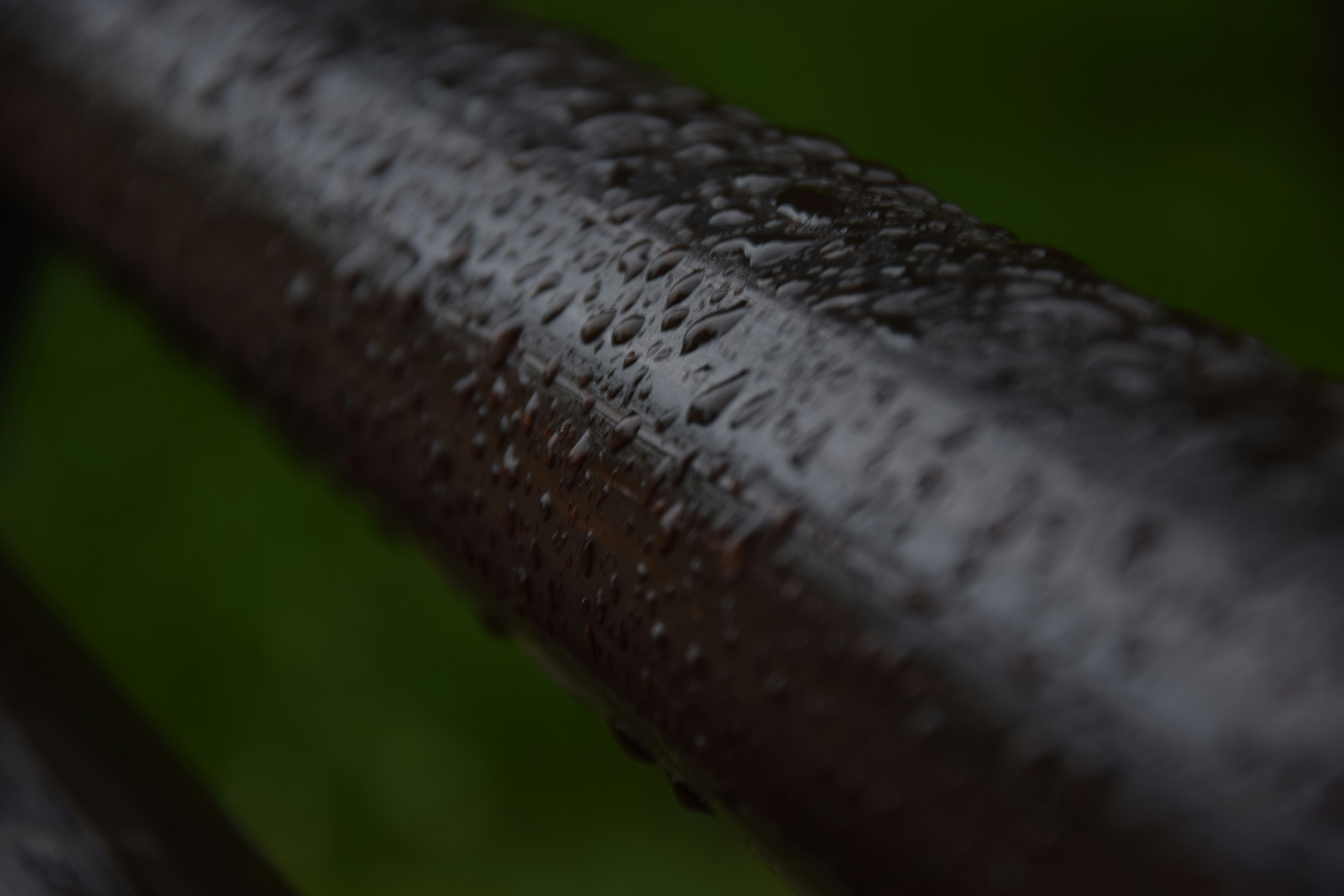 Photo by dnafairylady