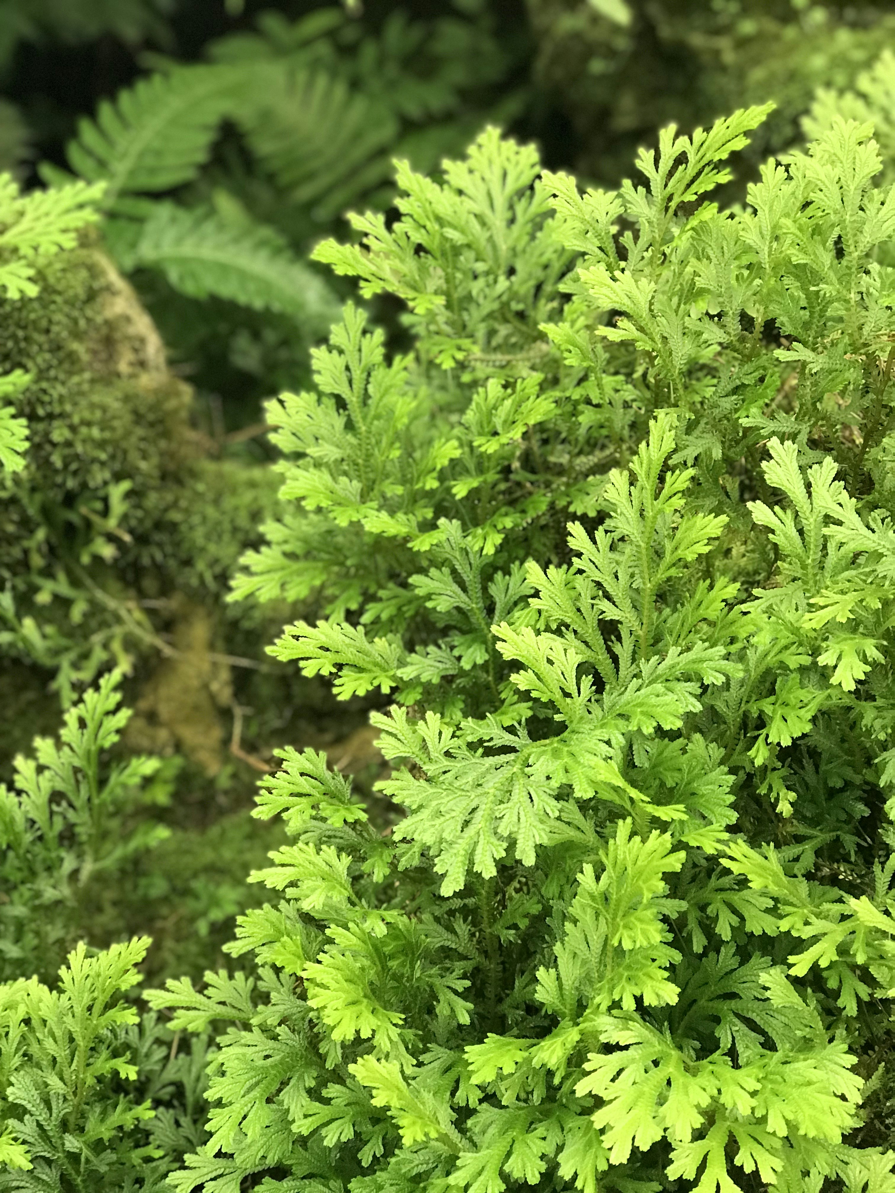 Photo by attentivesoul