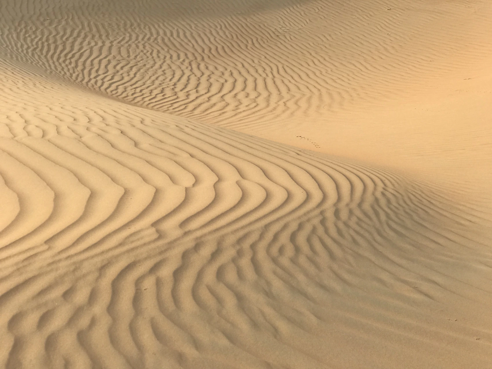 A sculptural wind-shaped sand dune in the Abu Dhabi desert