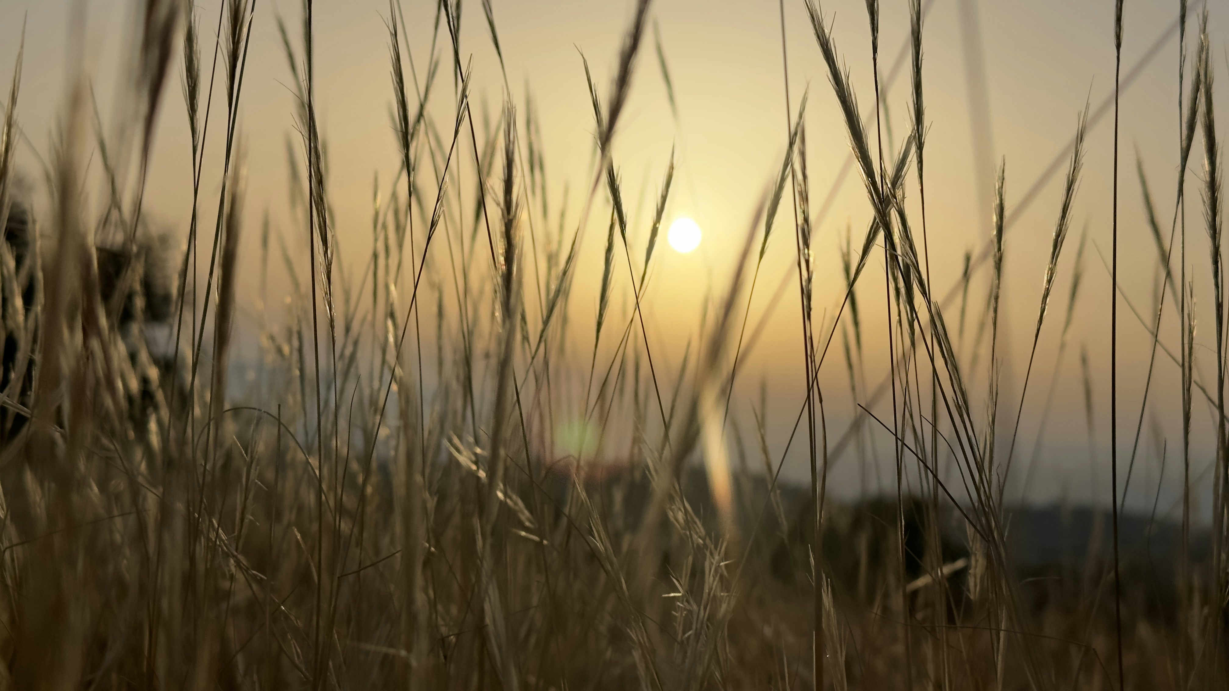 Photo by osamamigdady