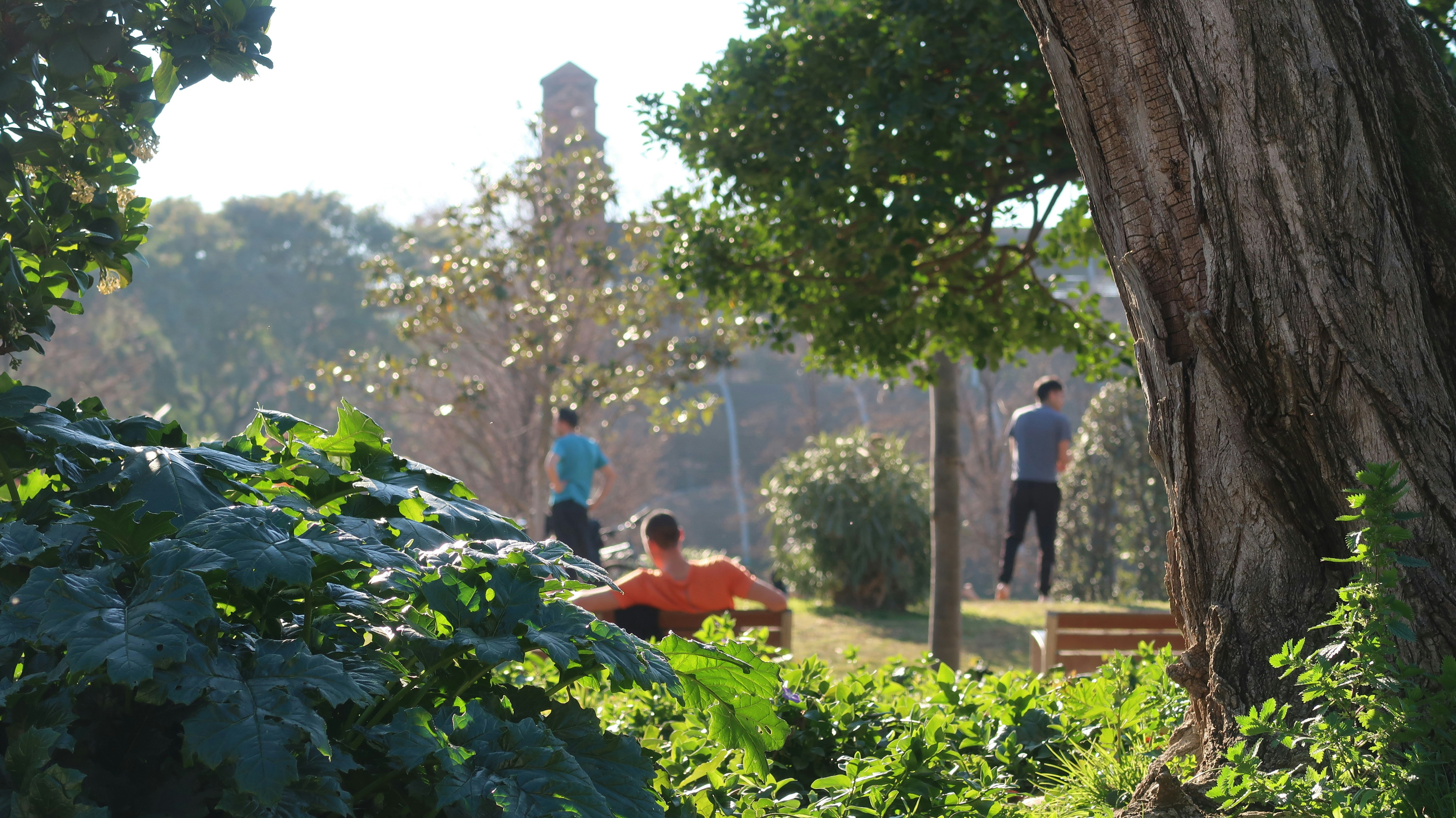 a group of people sitting on a bench in a park