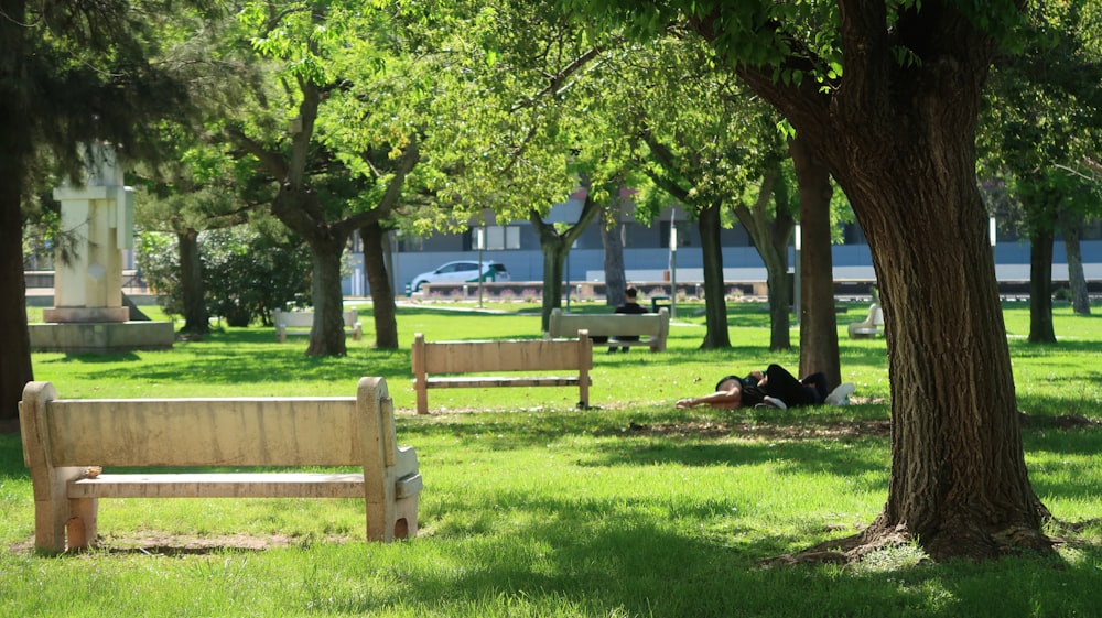 a couple of benches sitting in the middle of a park