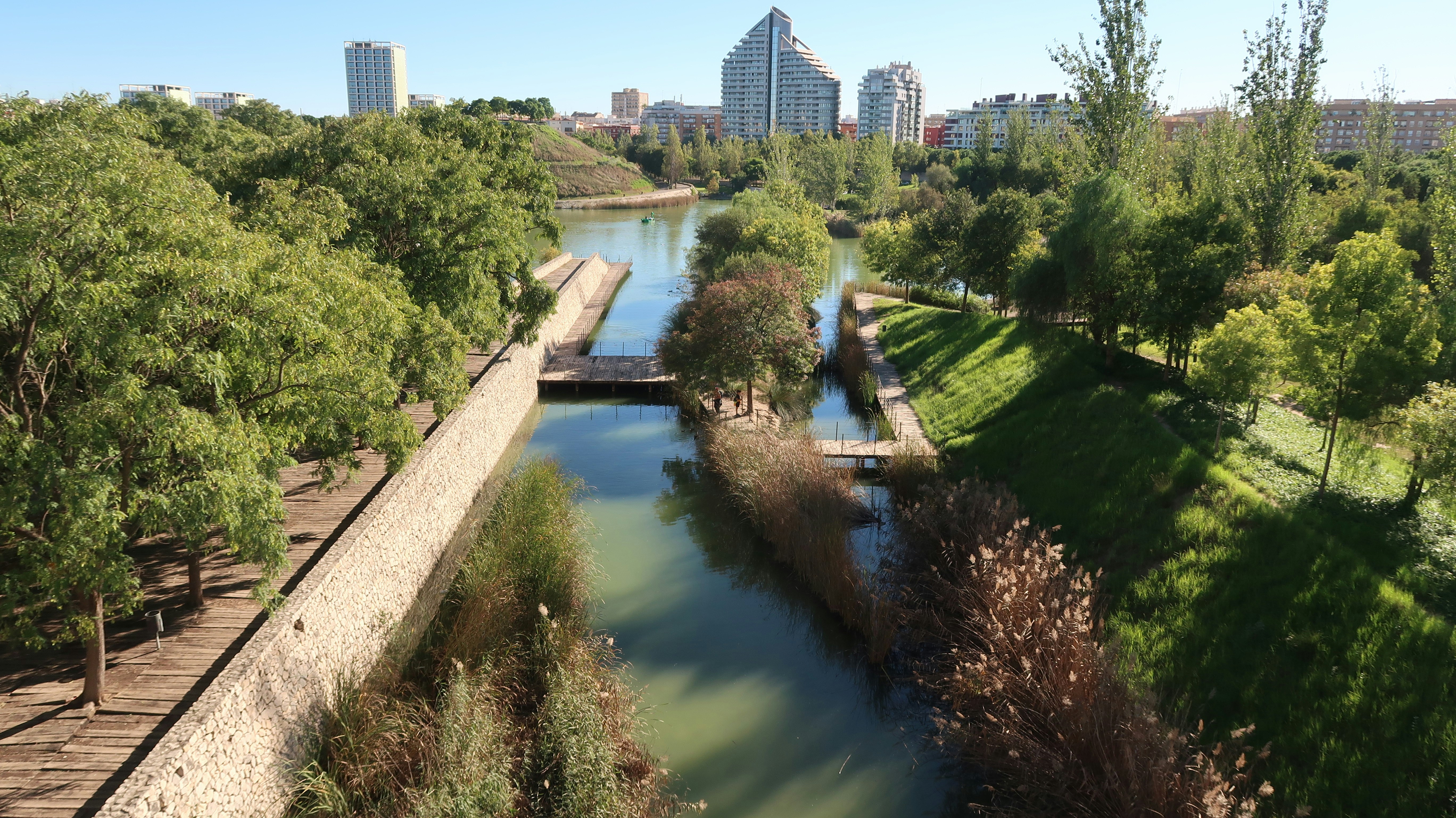 a river running through a lush green park, 