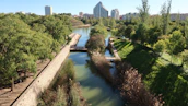 Lush urban park restored through community-led river rejuvenation and native tree planting.