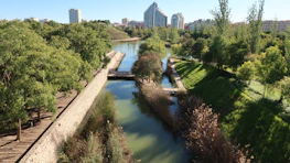 Lush urban park restored through community-led river rejuvenation and native tree planting.