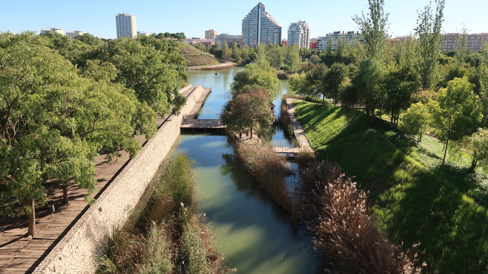 a river running through a lush green park