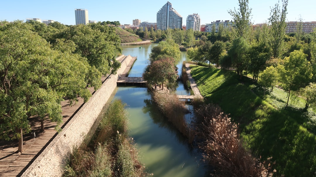 a river running through a lush green park,