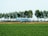 A commercial airplane is taxiing or parked on a green airfield surrounded by a row of tall trees. The aircraft has white and green livery and belongs to Transavia. In the background, there are some buildings and a partly cloudy sky.