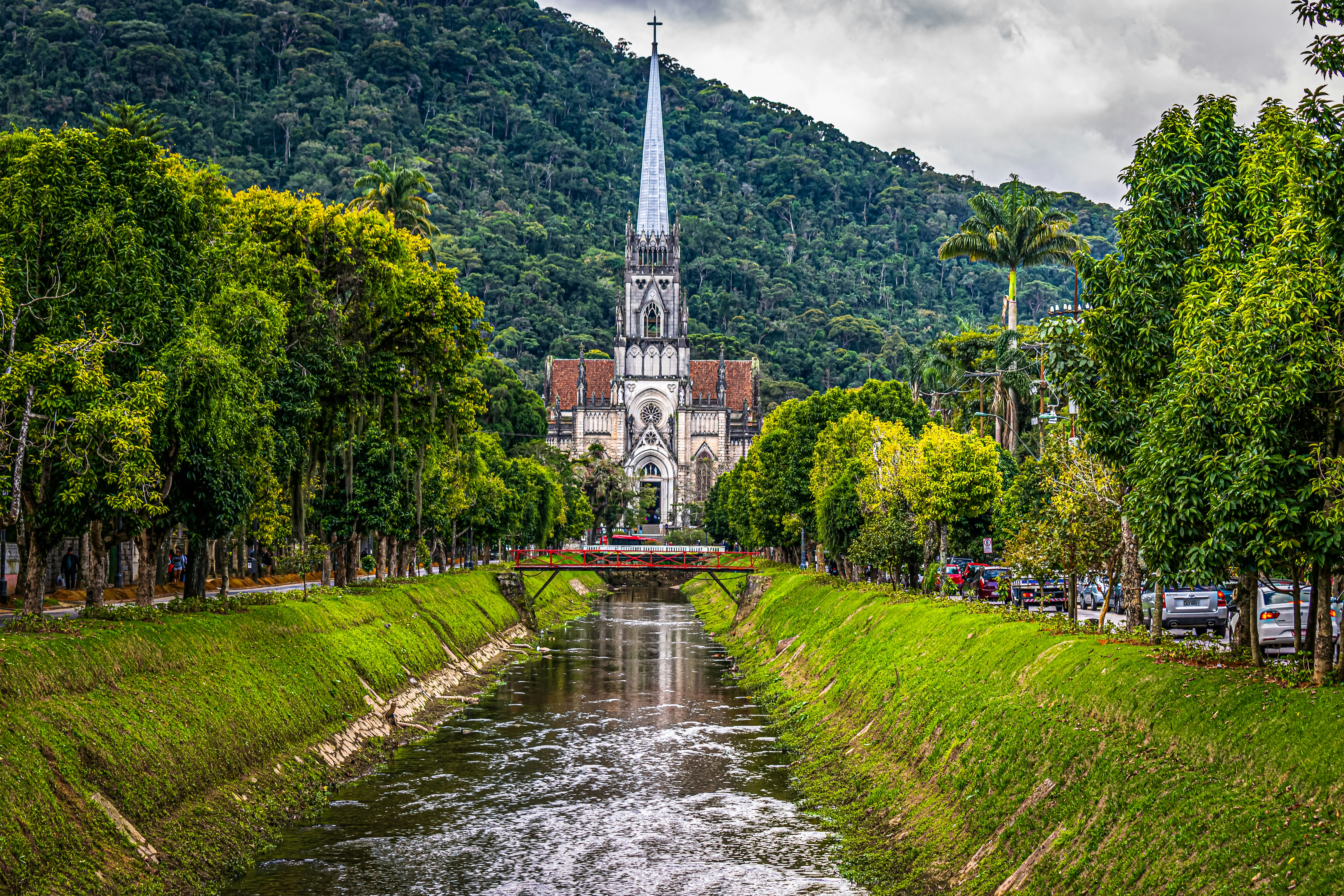 a river running through a lush green forest