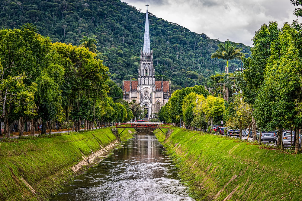 a river running through a lush green forest