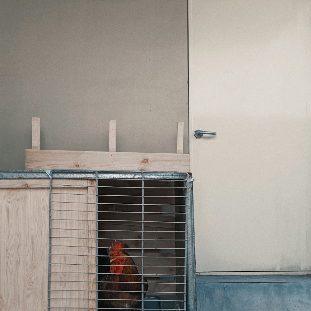 a chicken in a cage in front of a door