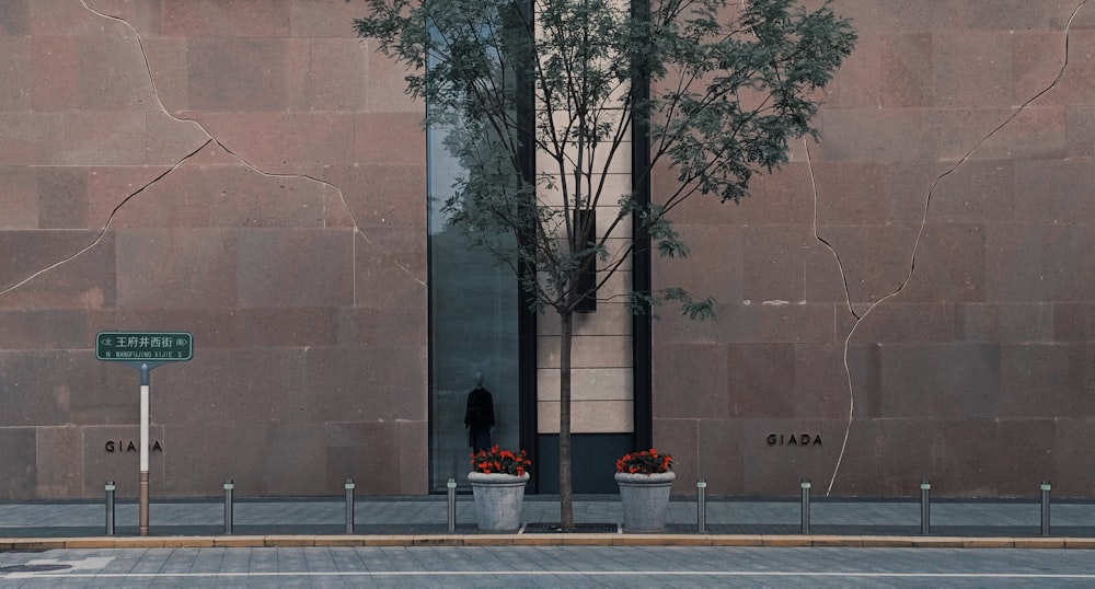 a tall building with a tree in front of it