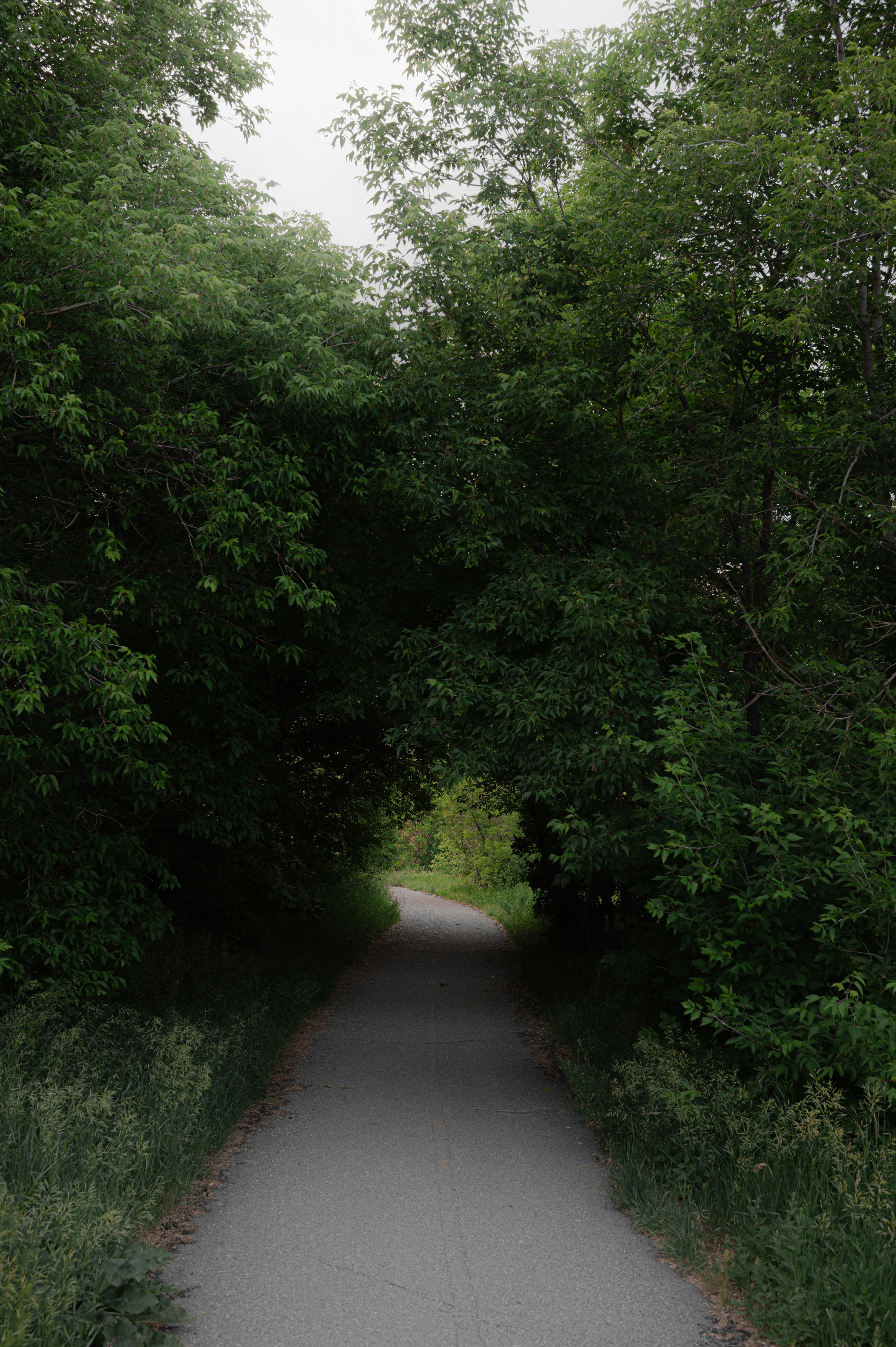 Photo by ryunosuke_kikuno