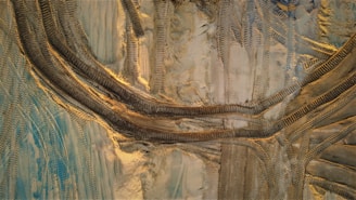 Close-up of tire tracks from heavy equipment on a dusty construction field under a clear sky