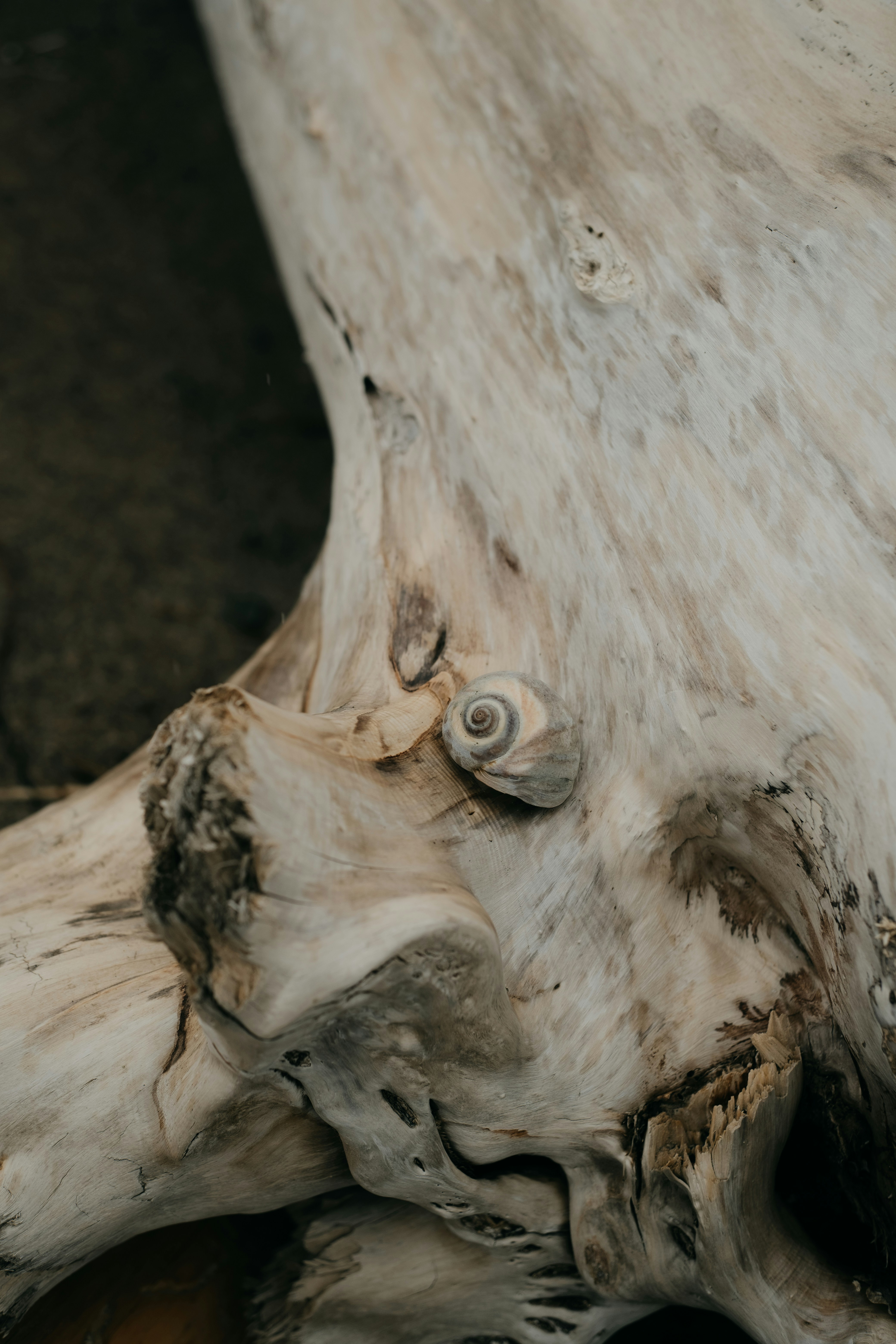 Photo by mathildelangevin