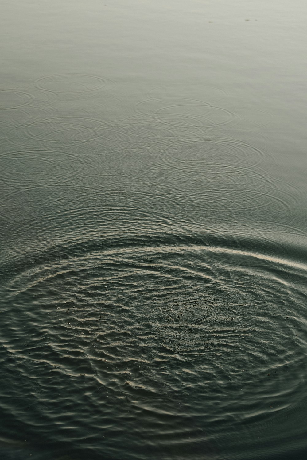 a large body of water with ripples in it