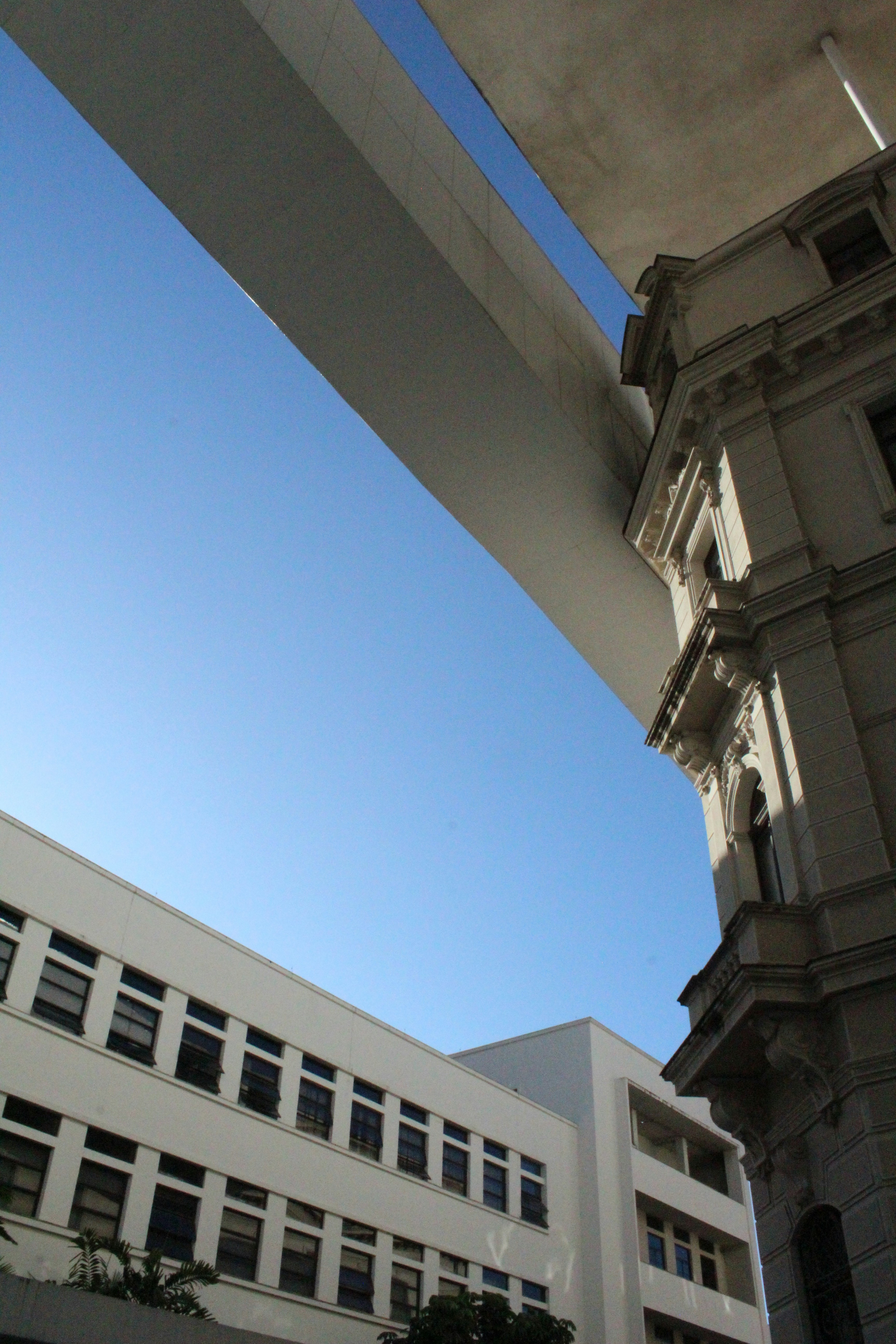 How Continuous Learning Reshapes Agent Architectures