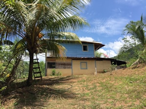 A rustic, two-story house with blue upper walls and yellow lower walls stands amid a lush, tropical setting. A tall palm tree with coconuts is nearby, and a ladder is resting against its trunk. The house is situated on a slightly sloped grassy area under a bright blue sky with scattered clouds.