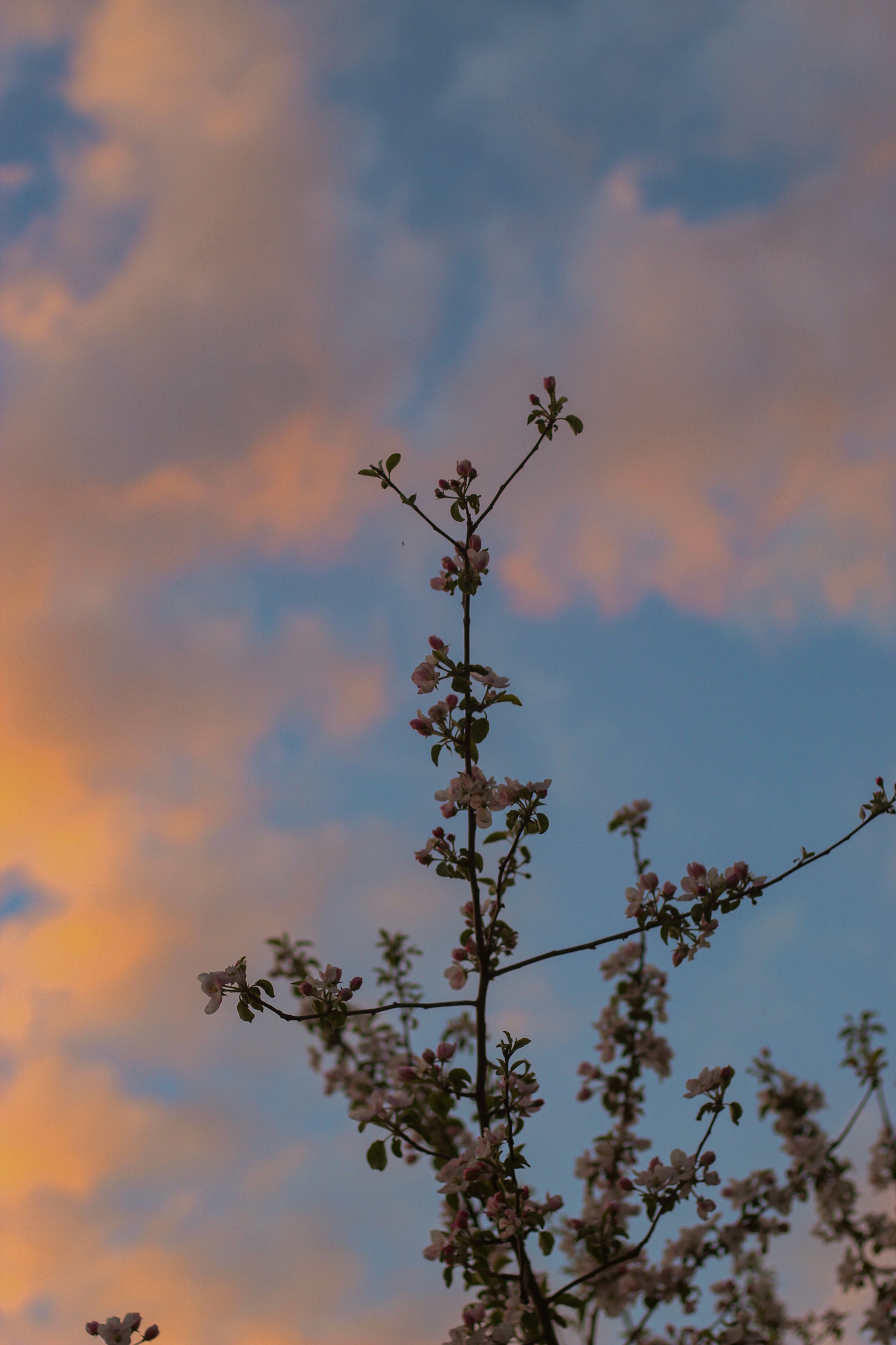 Photo by ykhomi