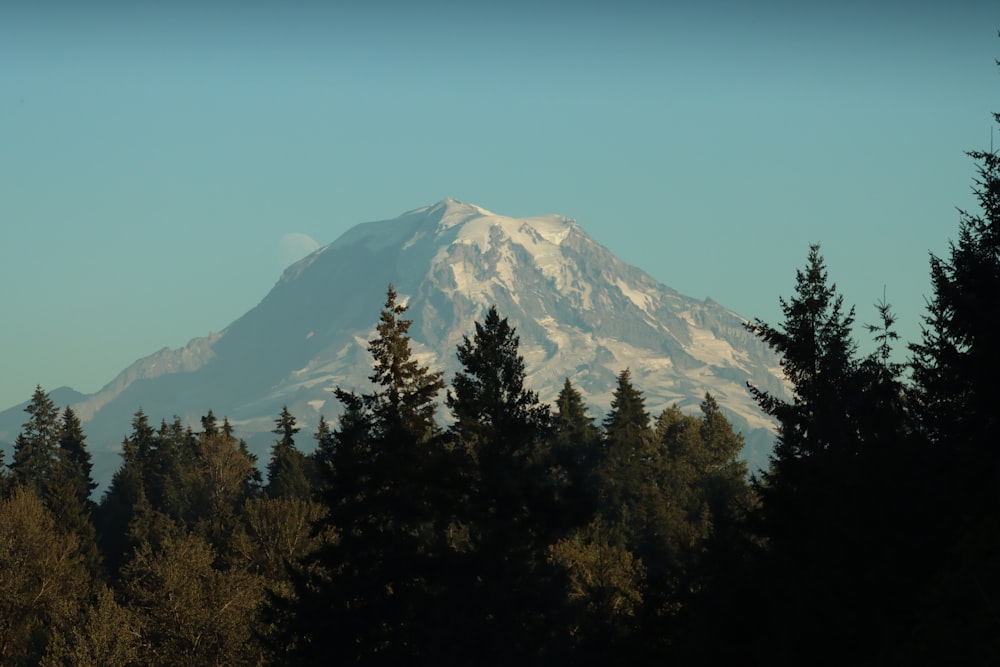 a view of a snow covered mountain through the trees