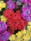 A vibrant bouquet of mixed flowers arranged elegantly for a wedding centerpiece.