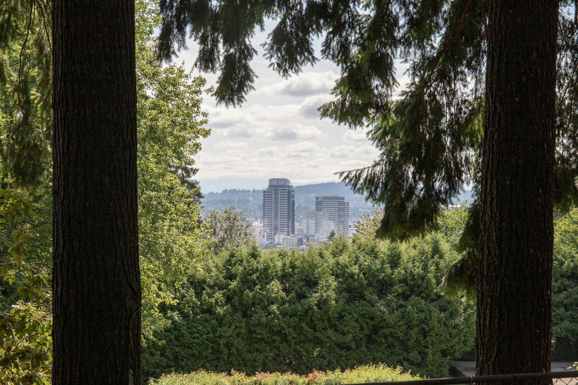 a view of a city through some trees