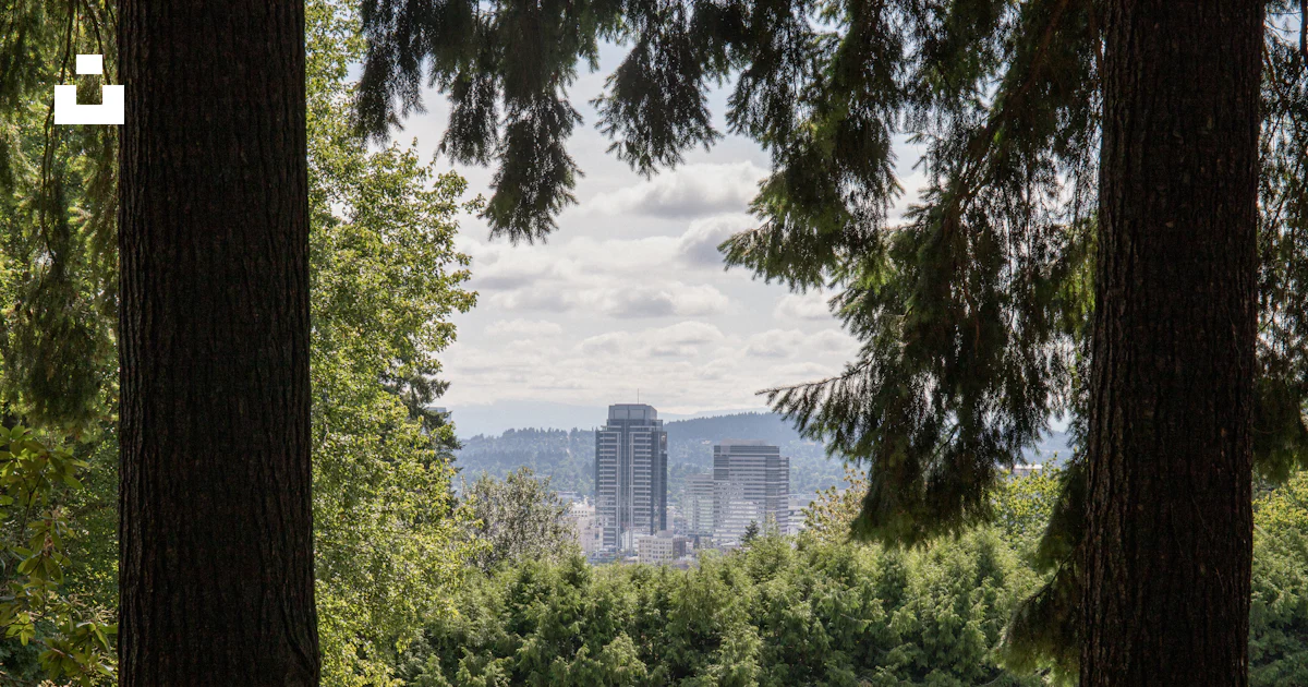 A view of a city through some trees photo – Free Hoyt arboretum Image ...
