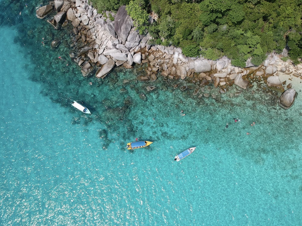 a group of people in a body of water