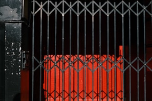A metal gate with vertical bars casts shadows against a bright red wall, creating a geometric pattern. The black gate contrasts sharply with the intense red backdrop, adding depth and focus to the scene.