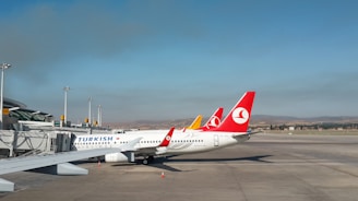 Several airplanes are parked at an airport terminal with visible jet bridges and boarding gates. The airplanes have distinct logos and colors, with the prominent one being white with red on the tail fin and a Turkish Airlines logo. The sky is clear, and there are hills in the background.