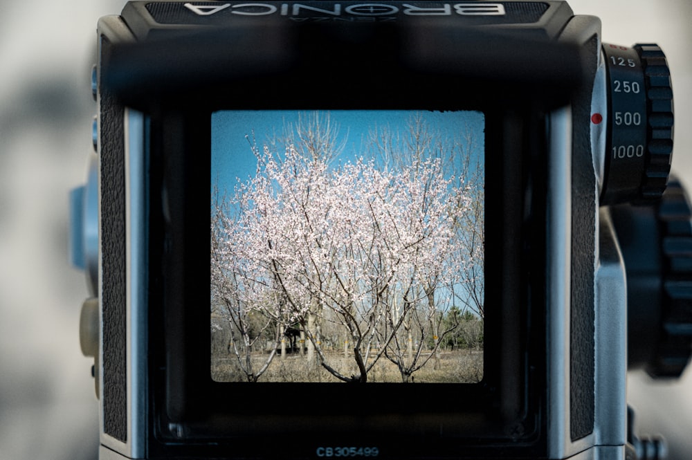 a camera with a picture of a tree on it