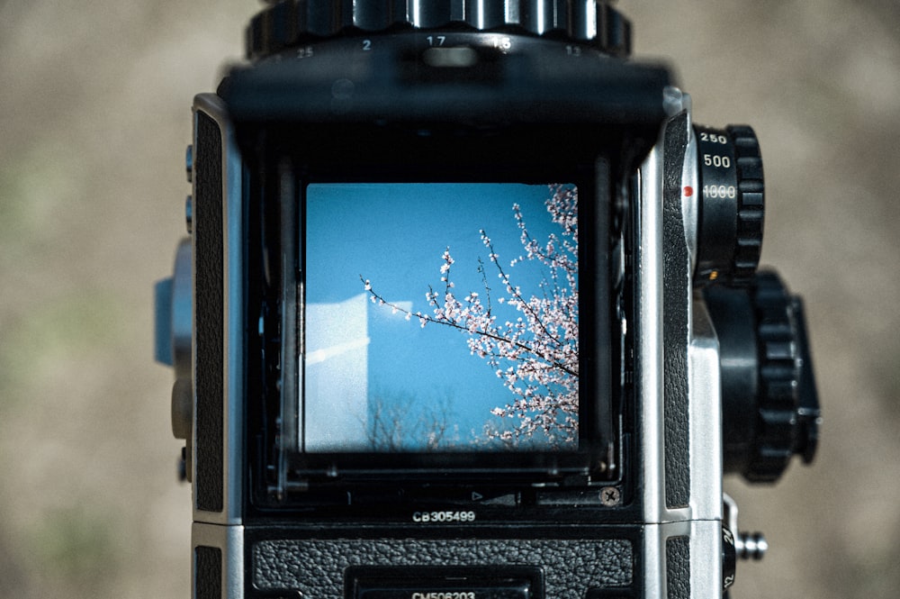 a camera with a picture of a cherry blossom tree