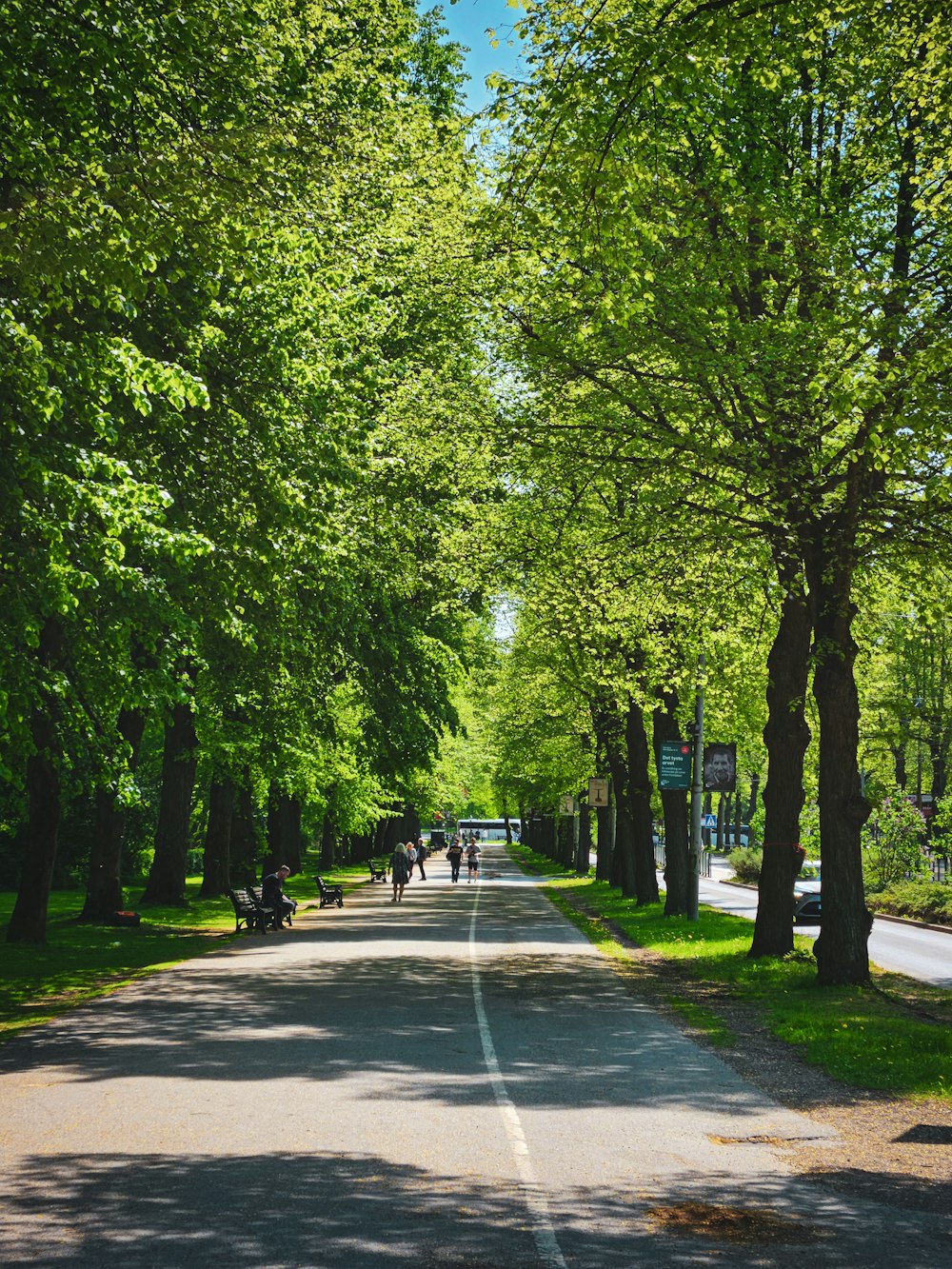 a street lined with trees and people walking down it