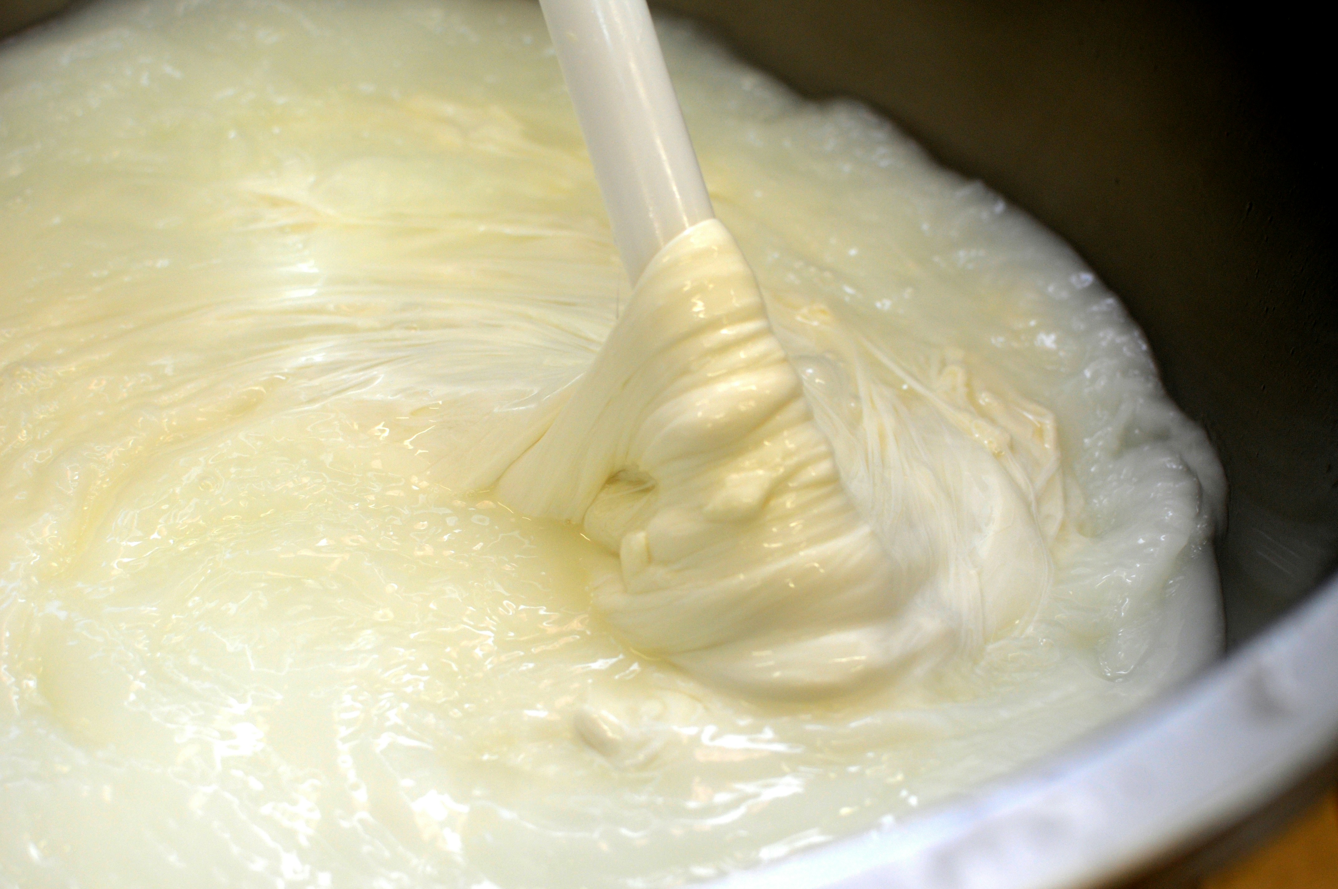 Handcrafted and traditional processing of real mozzarella from southern Italy. The mozzarella production process uses a method called 