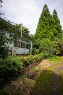 A serene, lush garden scene featuring a small, sunlit stream running alongside a narrow path. The path is surrounded by dense greenery, including tall trees and abundant bushes. A quaint, rustic building with large windows and a metal chimney is nestled among the foliage, partially obscured by the vibrant trees.