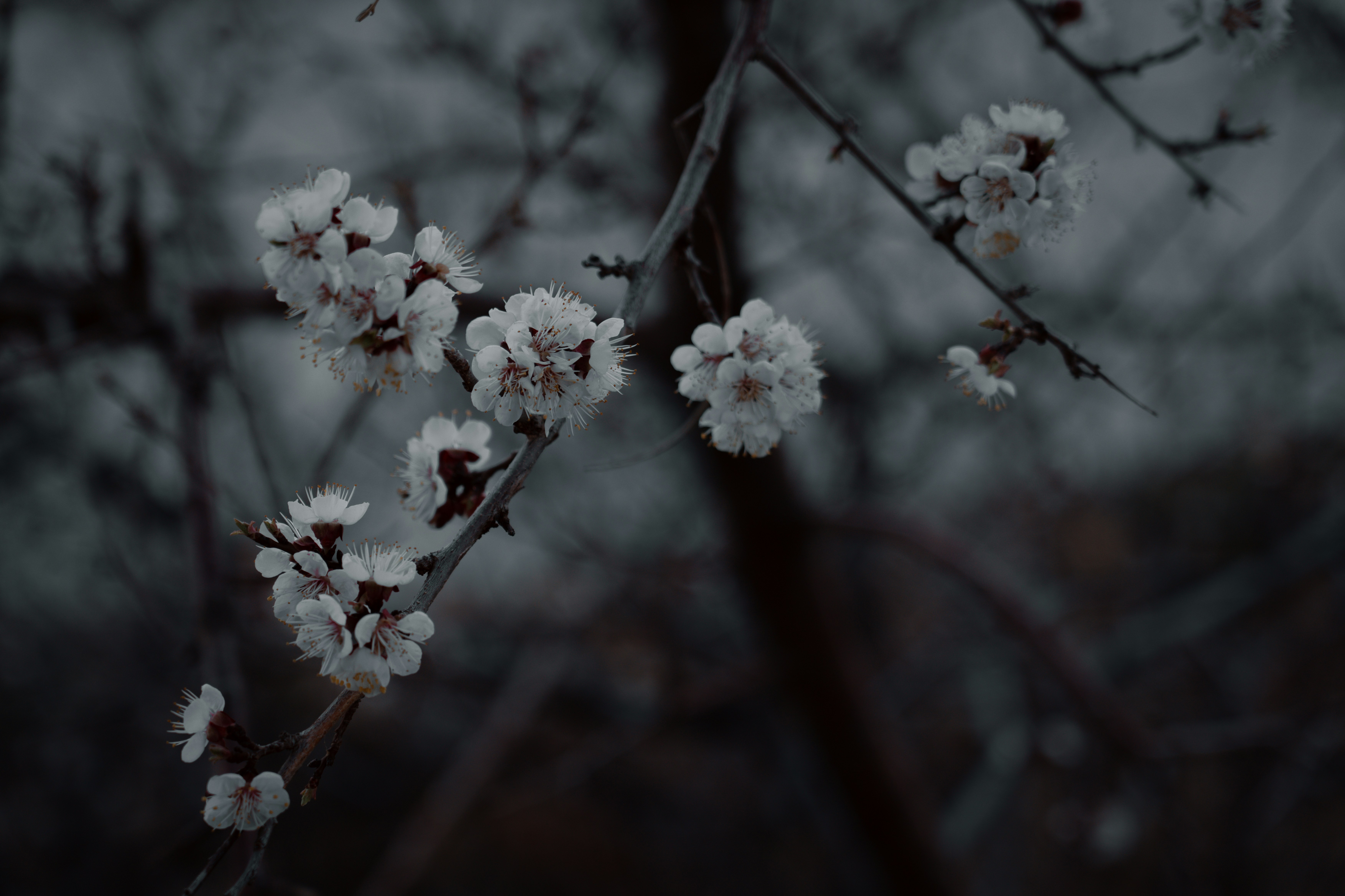 Photo by travelerchitect