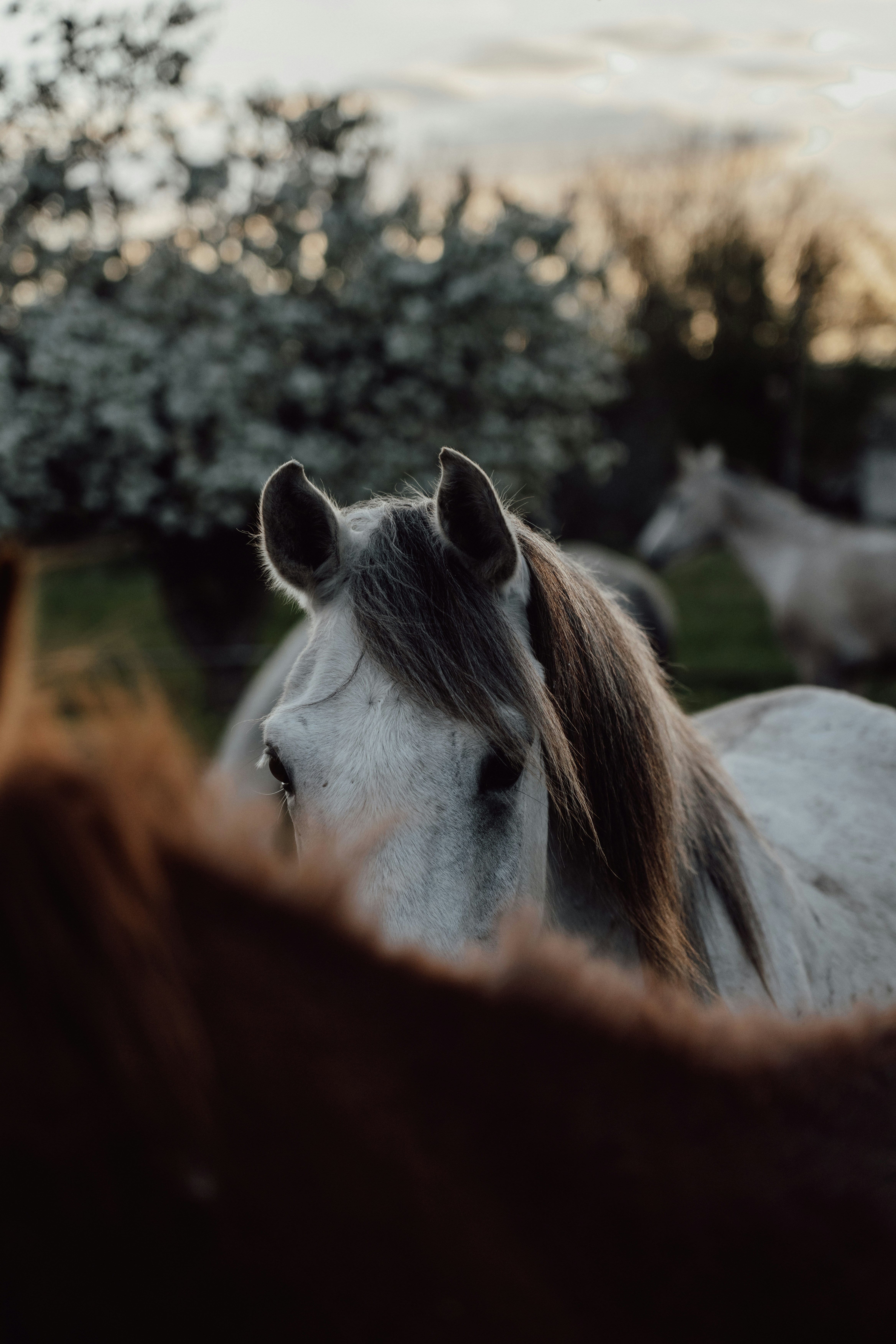 Photo by travelerchitect