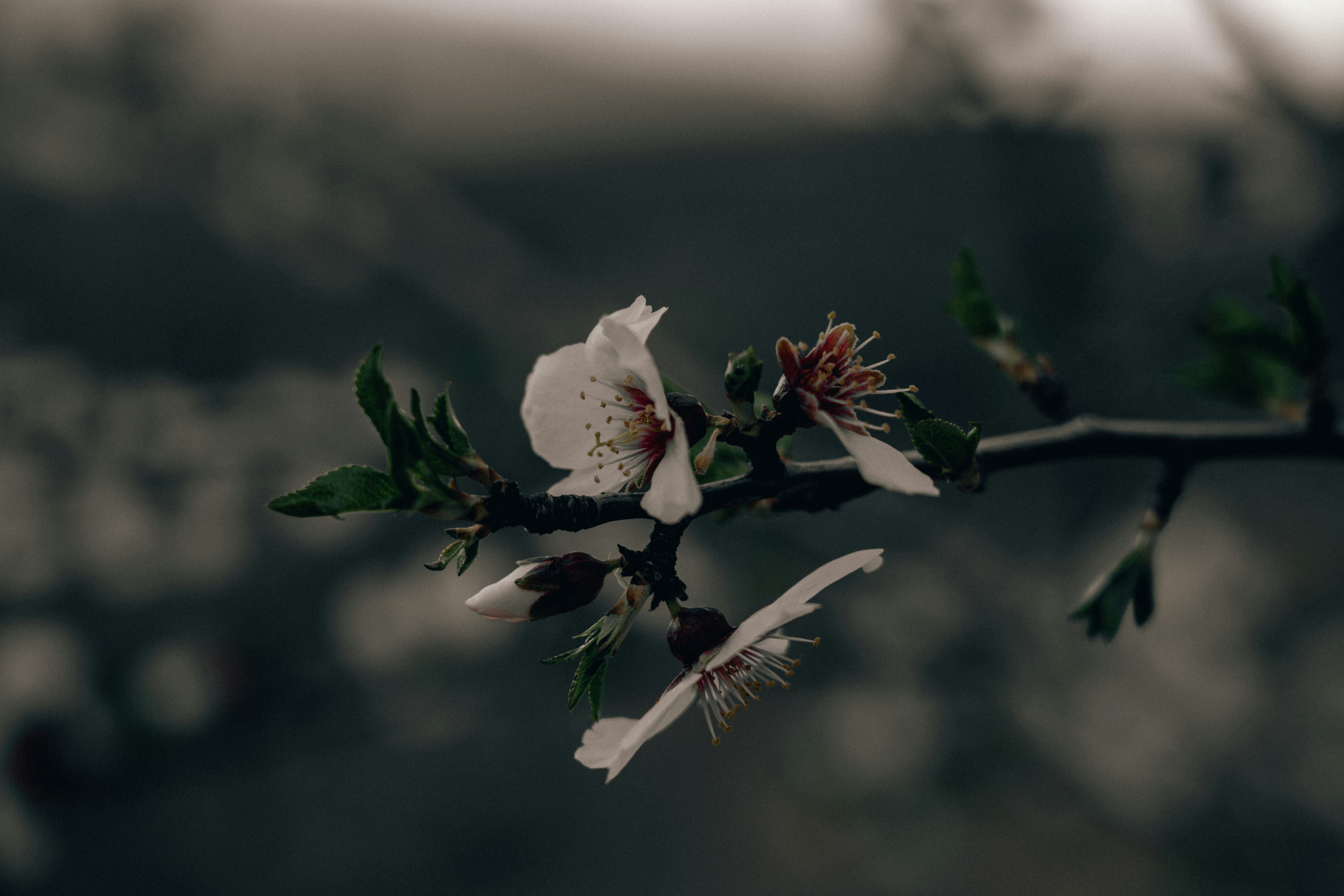 Photo by travelerchitect