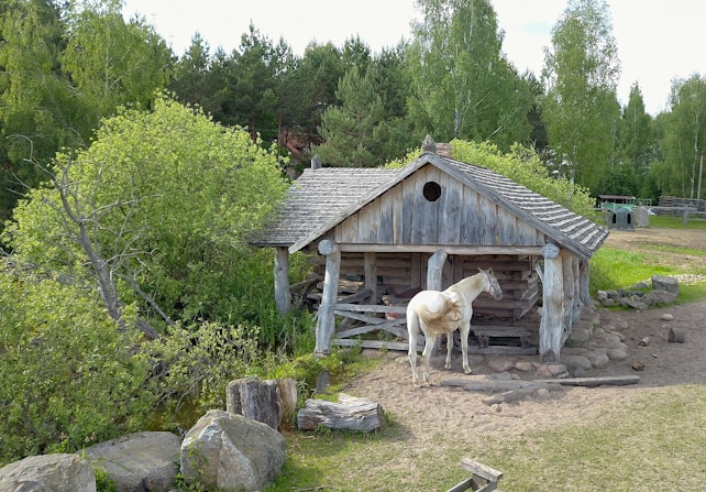 A rustic wooden barn is surrounded by lush green trees and grass. In front of the barn, a white horse stands on sandy soil, facing away. Large stones and logs are scattered around the area.