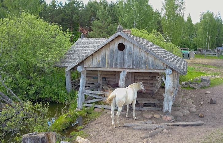 An old wooden structure resembling a rustic cabin stands near a small pond, surrounded by lush greenery and dense trees. A white horse is standing outside, appearing to explore the area near the cabin. The cabin has a weathered appearance with a classic shingled roof and round stones scattered in the foreground.