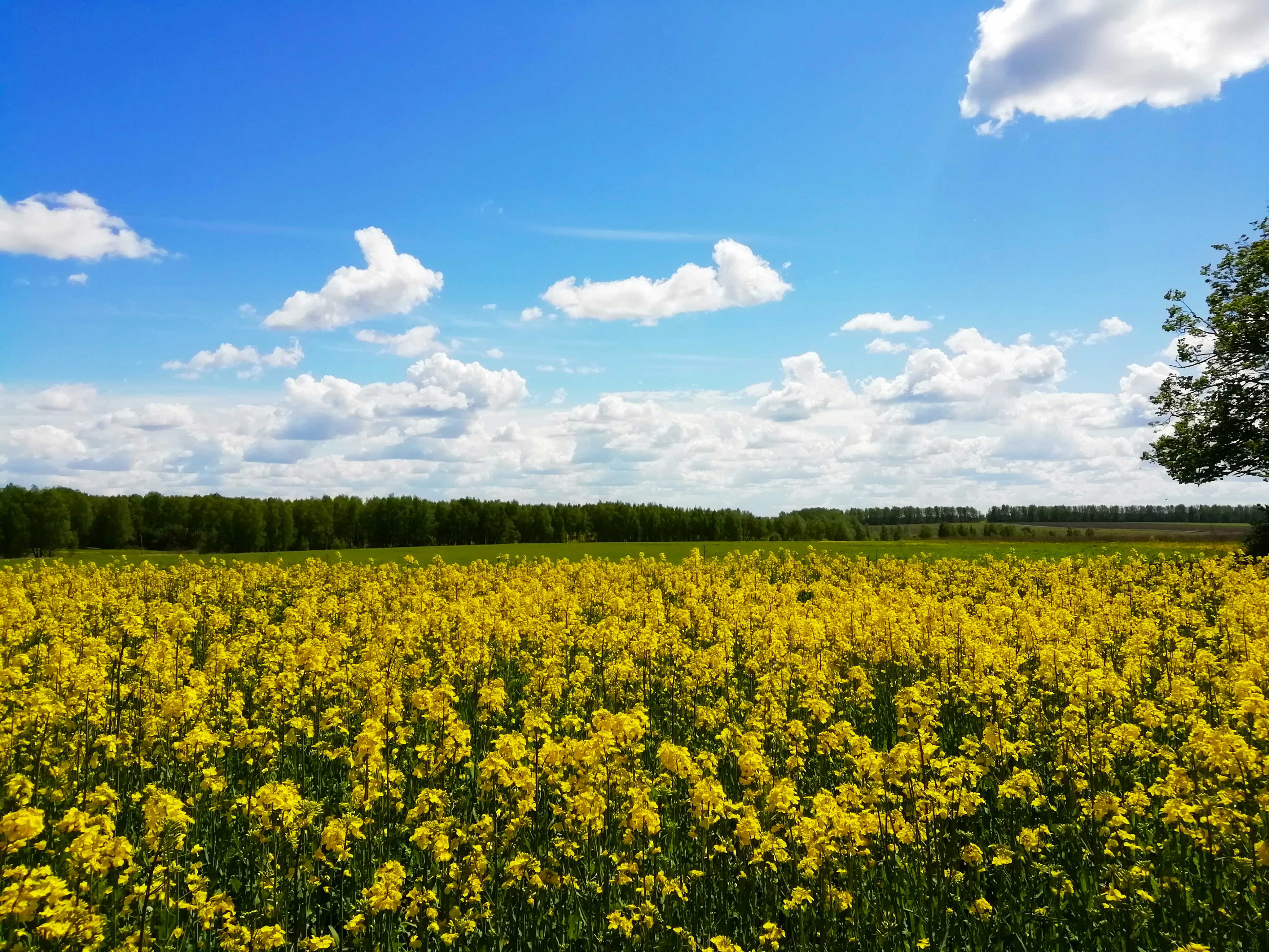 Photo by kozak_developer