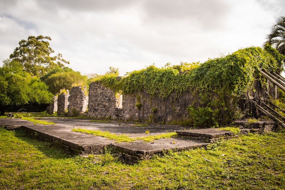 a stone building with vines growing on it